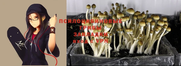 ГАЛЛЮЦИНОГЕННЫЕ ГРИБЫ Богородск