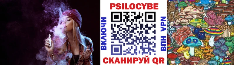 Псилоцибиновые грибы мухоморы Шахты